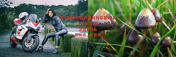 гидропоника Баксан