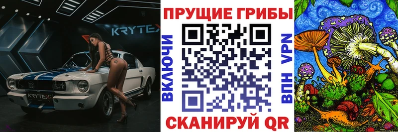 hydra зеркало  Буйнакск  Галлюциногенные грибы Magic Shrooms 