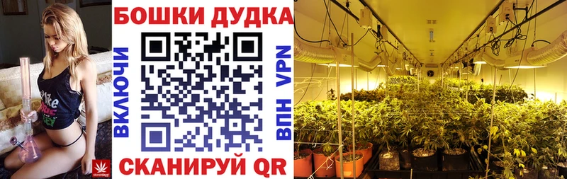 МАРИХУАНА Ganja Буйнакск